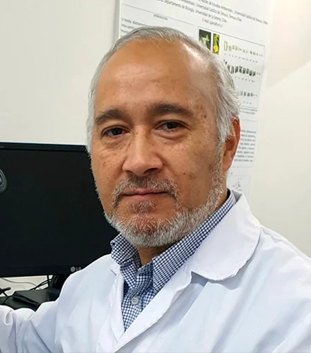 Pedro Jara Seguel